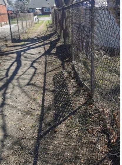 Fence line after clearing