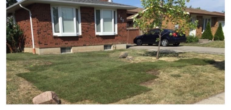 Front yard after: fresh sod installed