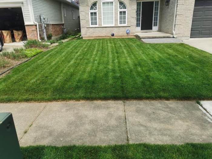 Formal front lawn striped