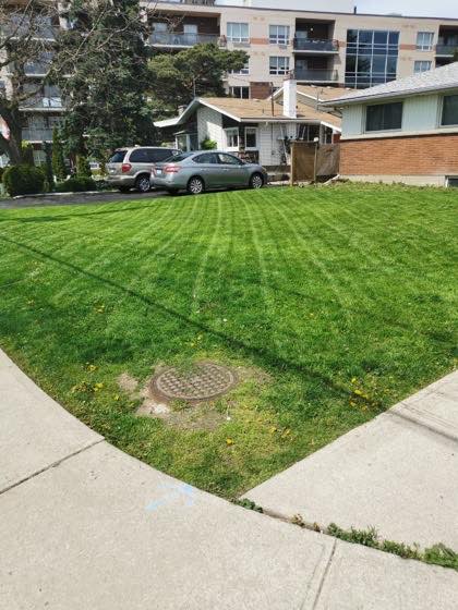 Corner-lot lawn freshly striped