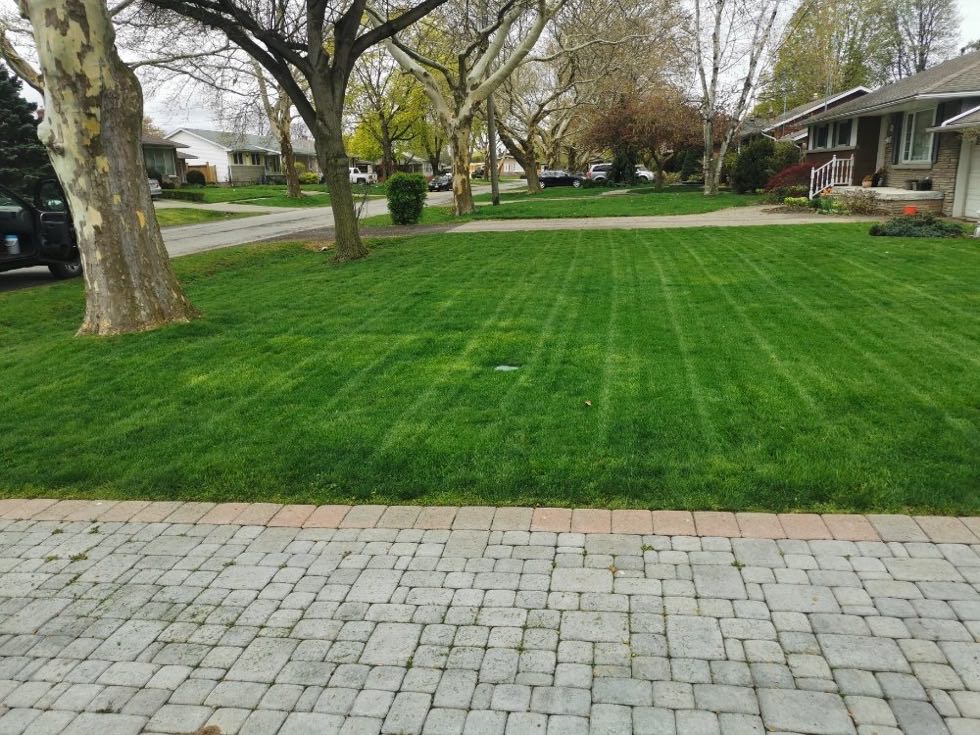 Freshly striped lawn maintained by Zone Control in St. Catharines